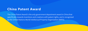 China Patent Award.jpg